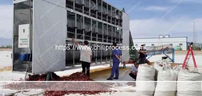 Automatic-Chili-Pepper-Stem-Cutting-Machine-Delivery-for-India-Customer