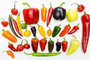 Various Chili Pepper Type Introduction