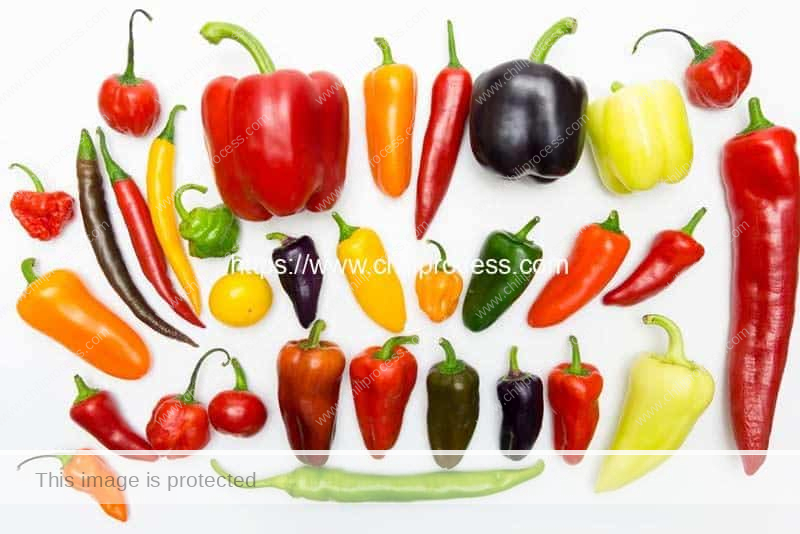 Different-Kinds-of-Peppers-introduction