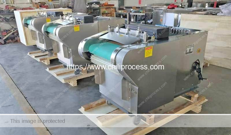 Rotary-Cutting-Dry-Chili-Cutting-Machine-with-Seeds-Separator-for-India-Customer